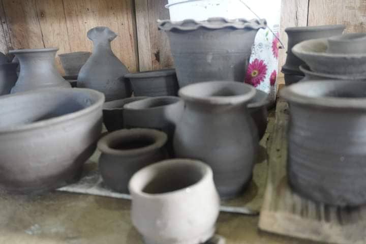 पेशा जोगाउन तालिम सुरु